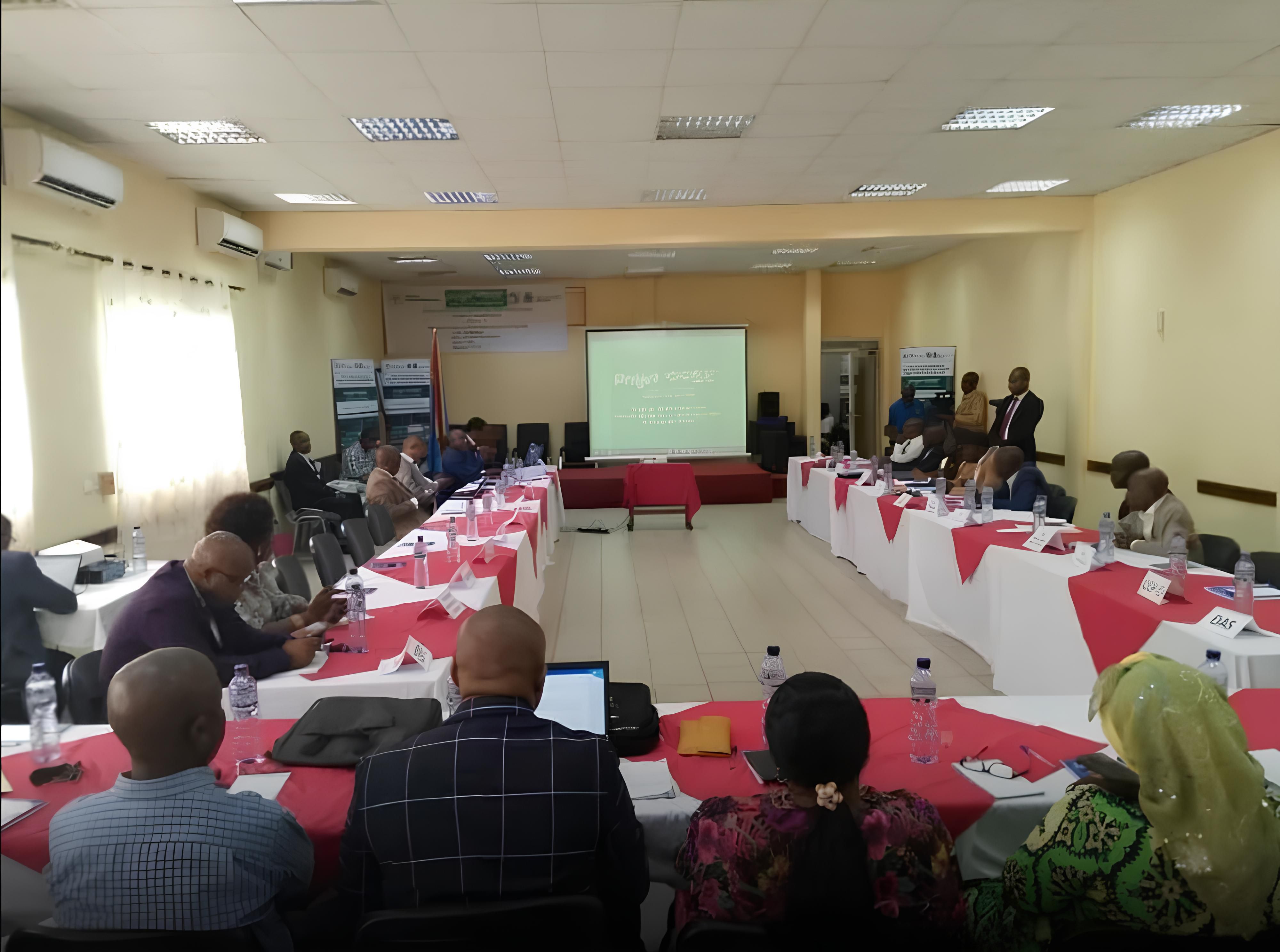 Le Comité de pilotage valide le PTBA 2026 des Projets PRISE II et PREDIRE à Kinshasa