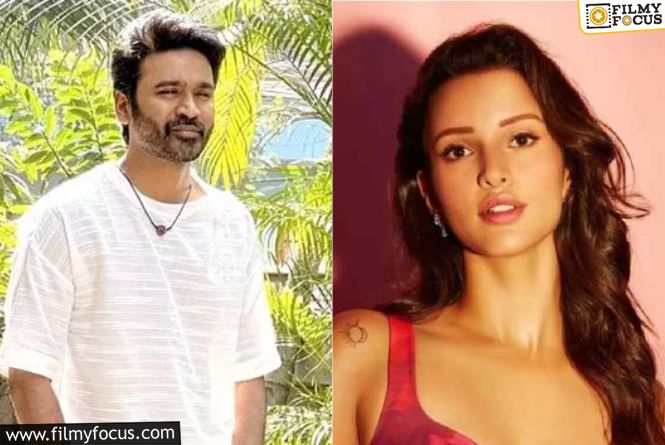 Triptii Dimri Will Star Opposite Dhanush