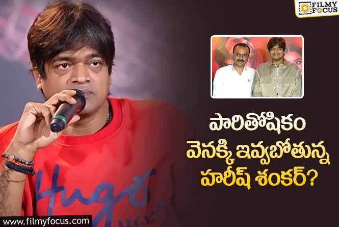 Harish Shankar: ‘మిస్టర్ బచ్చన్’ నిర్మాతలకి హరీష్ శంకర్ భరోసా..!