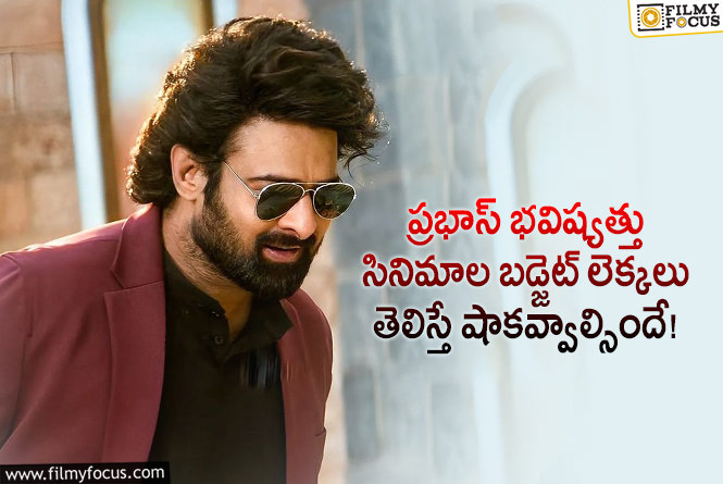 Prabhas: ప్రభాస్ స్టామినాకు ఈ బడ్జెట్లే ప్రూఫ్.. ఆ రేంజ్ లో ఖర్చు చేస్తున్నారా?