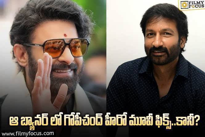 Prabhas , Gopichand: ప్రభాస్, గోపీచంద్ కాంబోలో ఆ బ్యానర్ లో సినిమా వచ్చే ఛాన్స్.. కానీ?