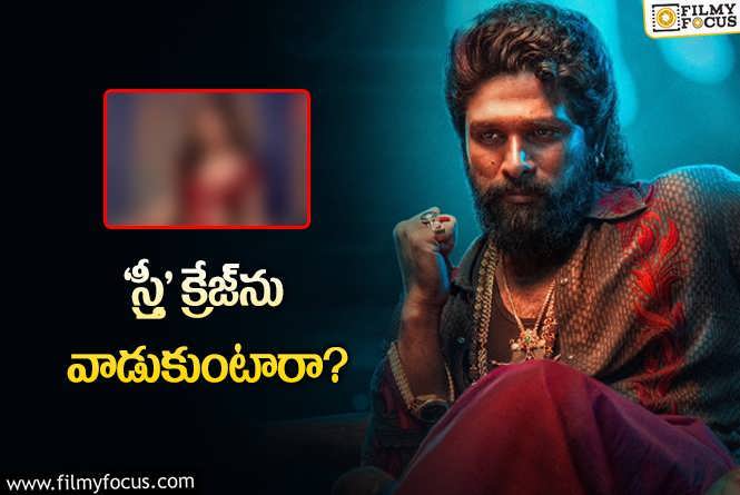 Pushpa 2: ‘పుష్ప 2’ ఐటెమ్‌ సాంగ్‌.. తెరపైకి వచ్చిన కొత్త కపూర్‌ గర్ల్‌!