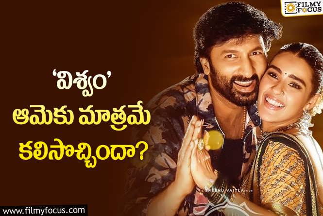 Viswam: ఒక్క హిట్టూ లేదనుకుంటున్న టైంలో.. బానే కలిసొచ్చిందిగా..!