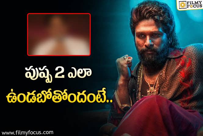 Pushpa 2: బడా నిర్మాతకు పుష్ప 2 స్పెషల్ షో.. టాక్ ఎలా ఉంది?