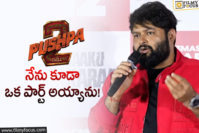 Thaman: ‘పుష్ప 2’.. నా వర్క్ తో దర్శకుడు, హీరో హ్యాపీ.. ఓపెన్ అయిన తమన్!