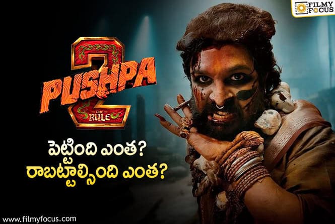 Pushpa 2 The Rule: ‘పుష్ప 2’ మూవీ థియేట్రికల్ బిజినెస్ డీటెయిల్స్..!