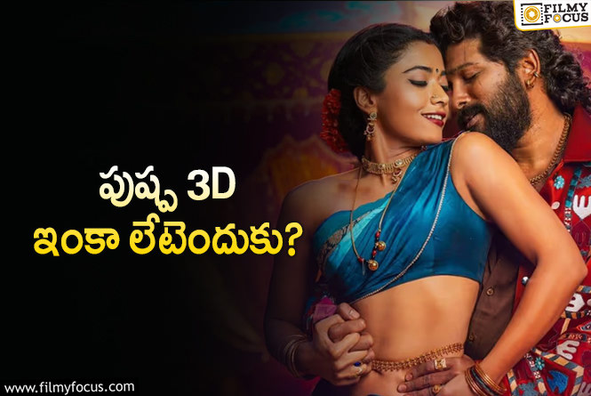 Pushpa 3D: పుష్పరాజ్ 3D ఆలస్యం వెనుక అసలు కారణమిదే..!