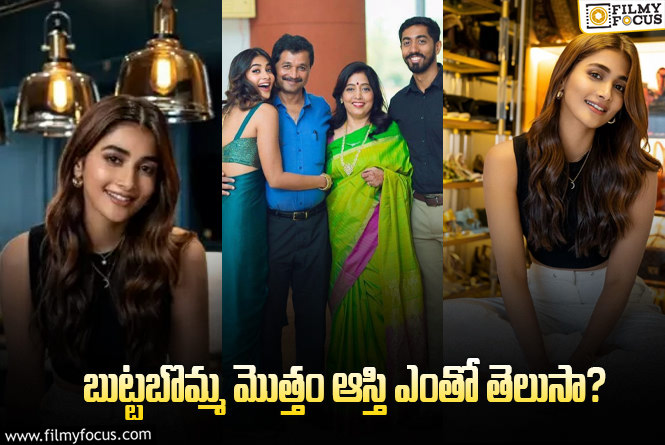 Pooja Hegde: పూజా హెగ్డే 12 ఏళ్ళ ఆదాయం.. నిజంగా అంత పెరిగిందా?