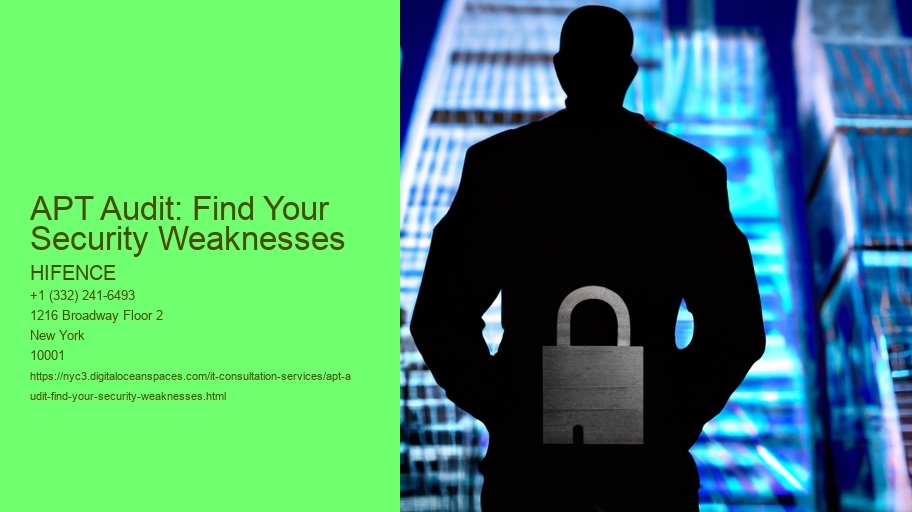 APT Audit: Find Your Security Weaknesses
