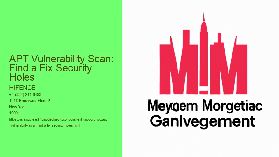 APT Vulnerability Scan: Find a Fix Security Holes