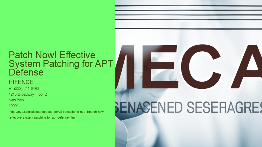 Patch Now! Effective System Patching for APT Defense