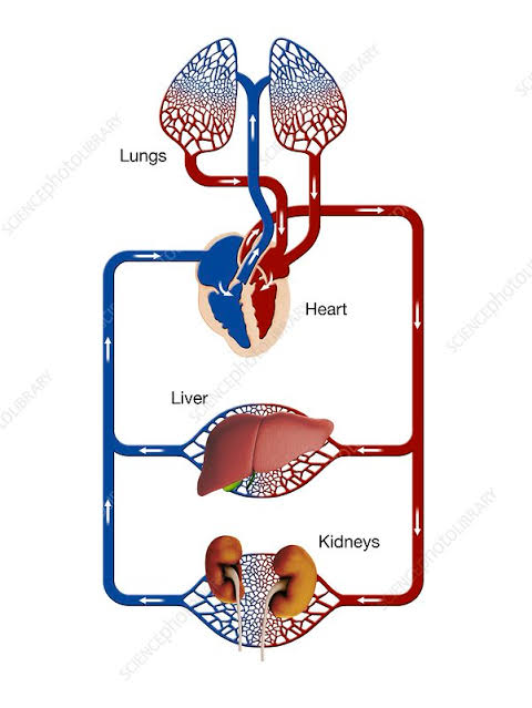 Prevent the Progression