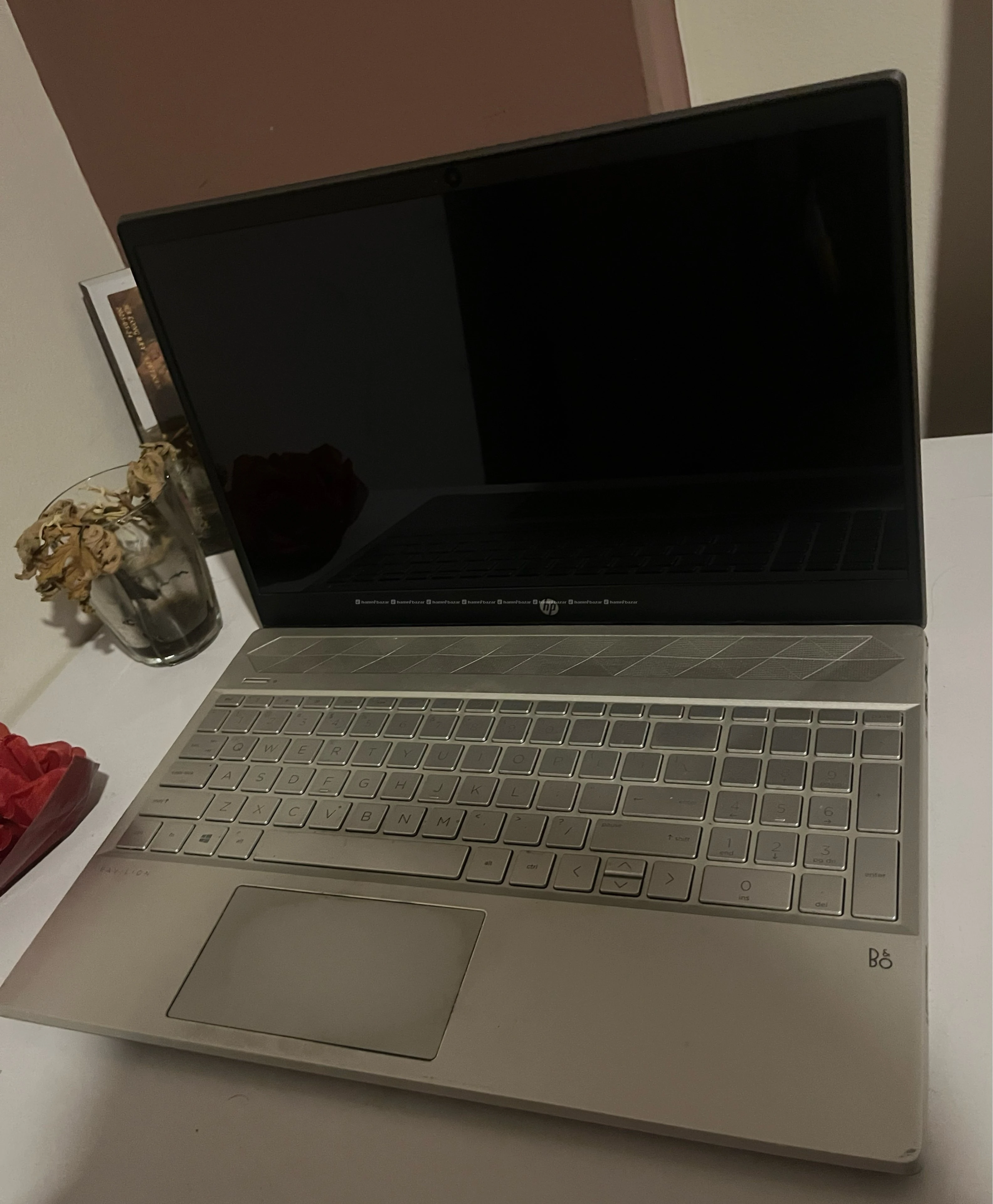 HP Pavilion 15 (AMD Ryzen 5 / 1TB SSD / 8GB RAM)
