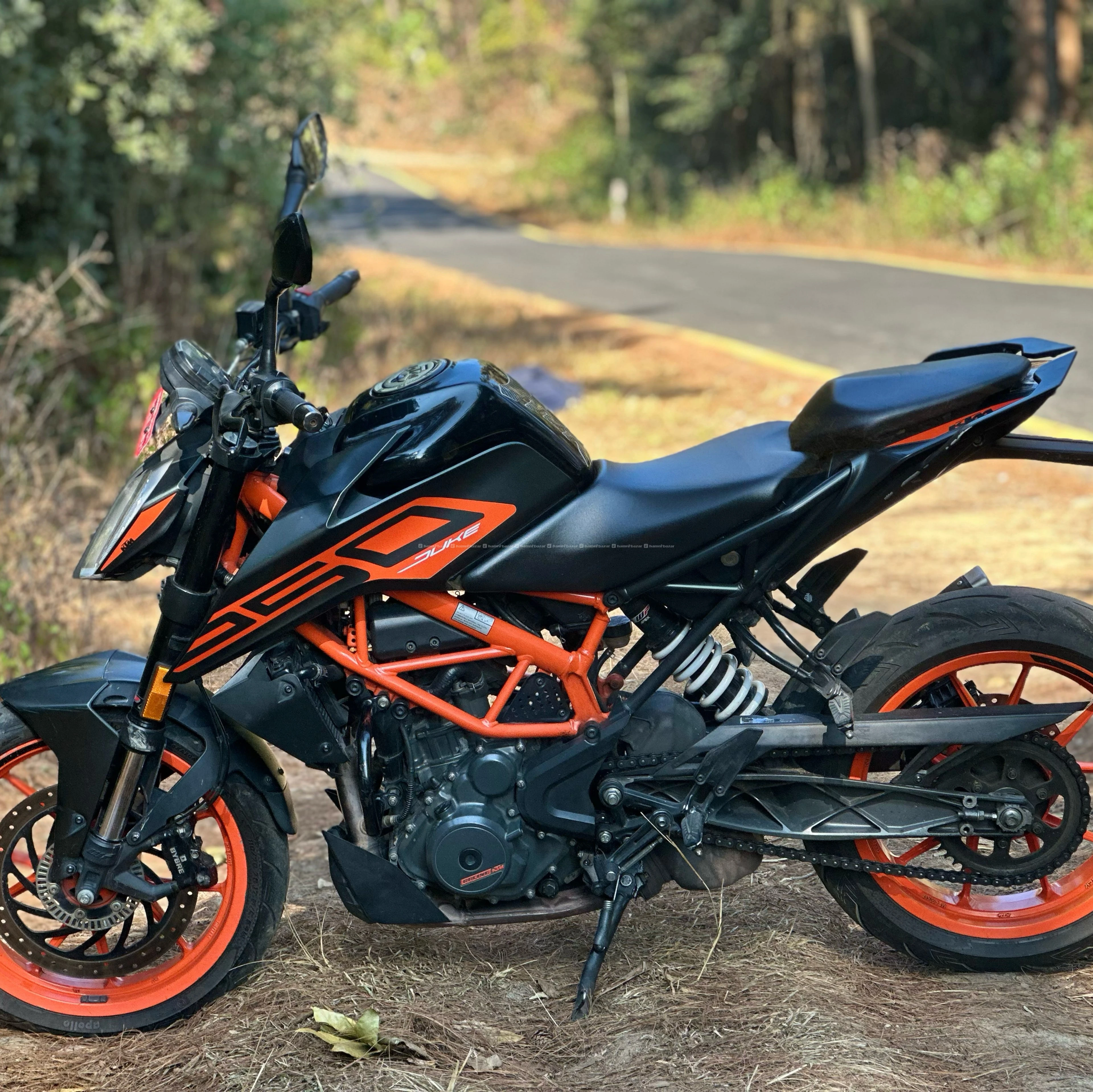 Duke 250 BS6