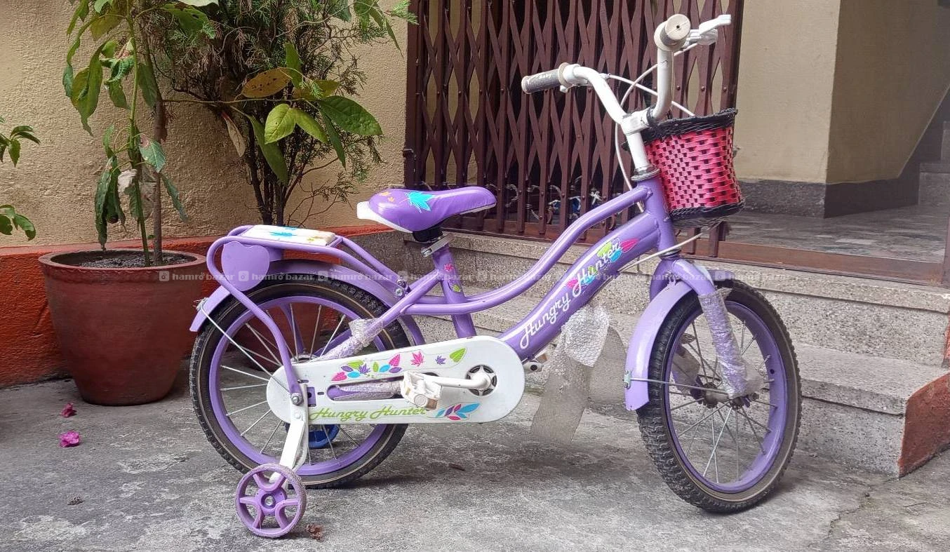 Baby Girl Bicycle