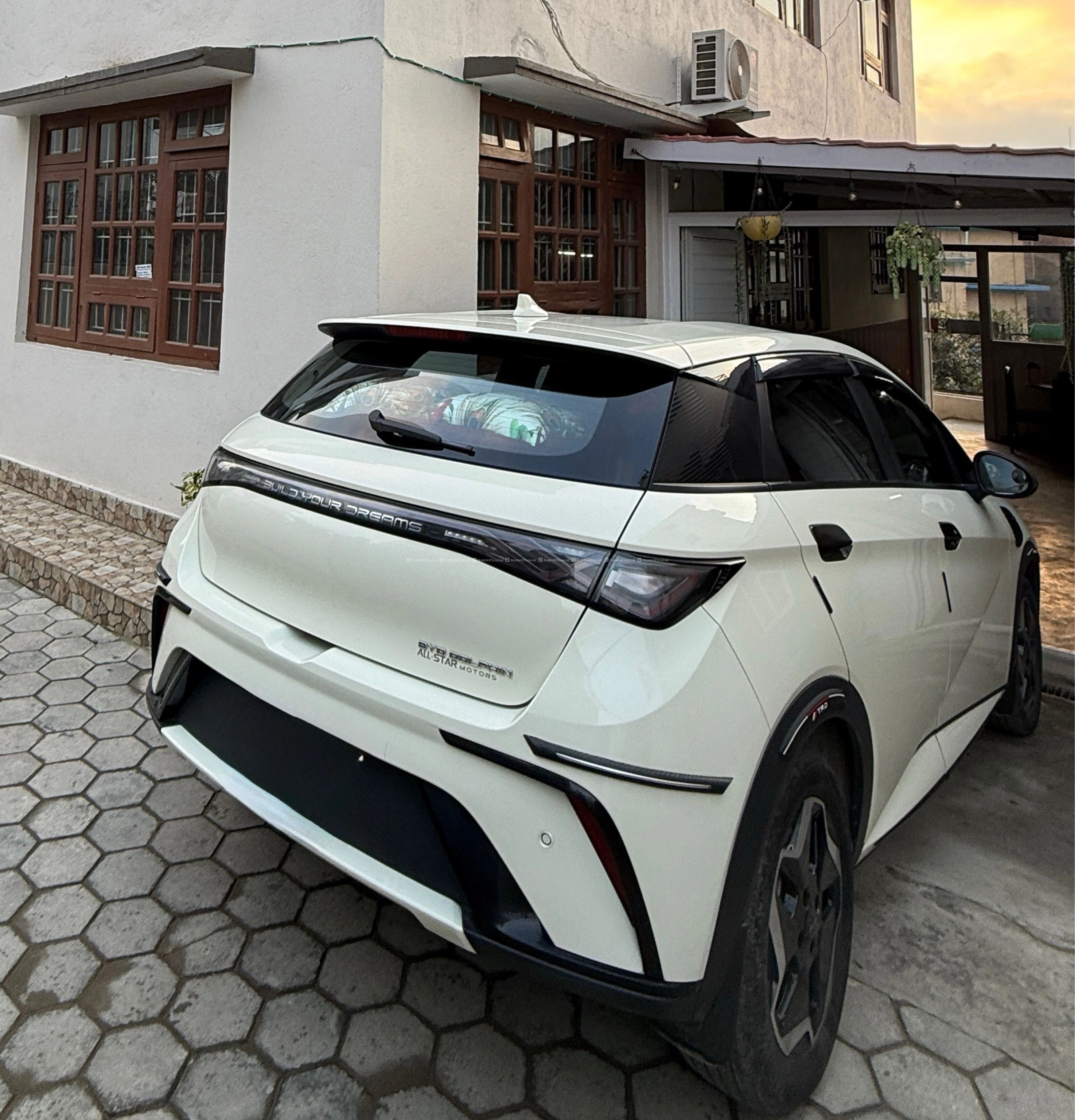 Byd dolphin 2024 2