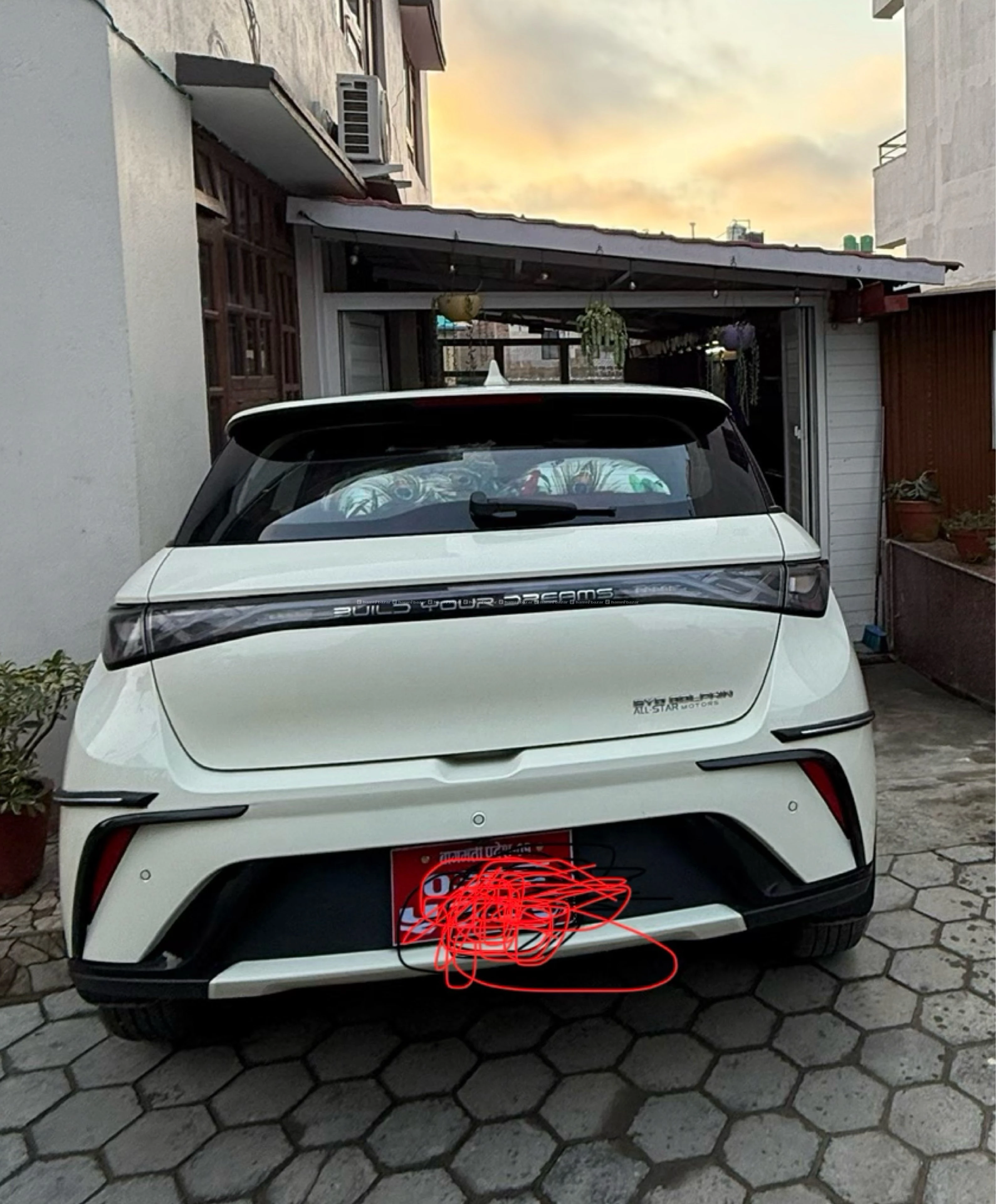 Byd dolphin 2024 3