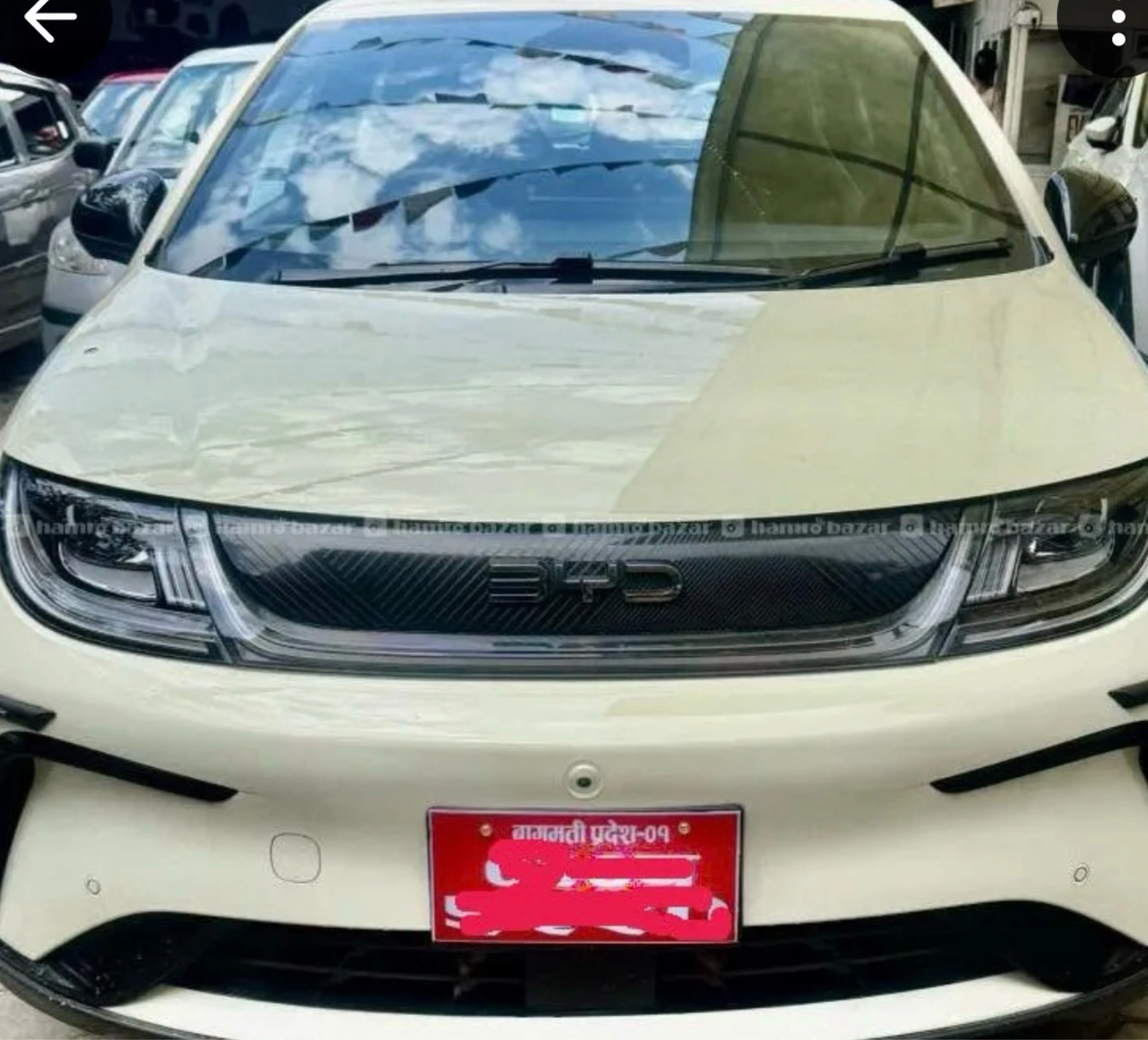 Byd dolphin 2024 1
