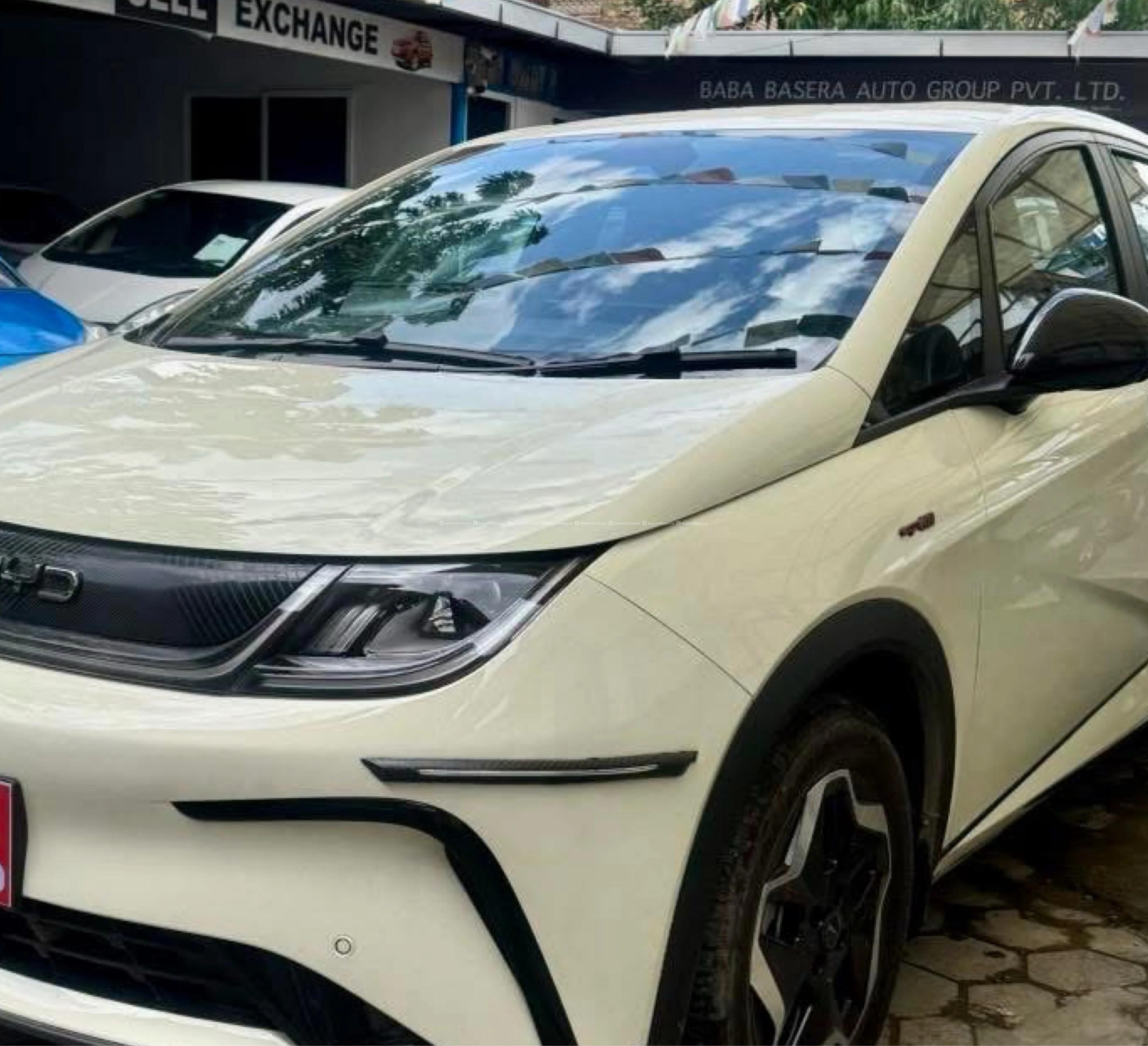 Byd dolphin 2024 4