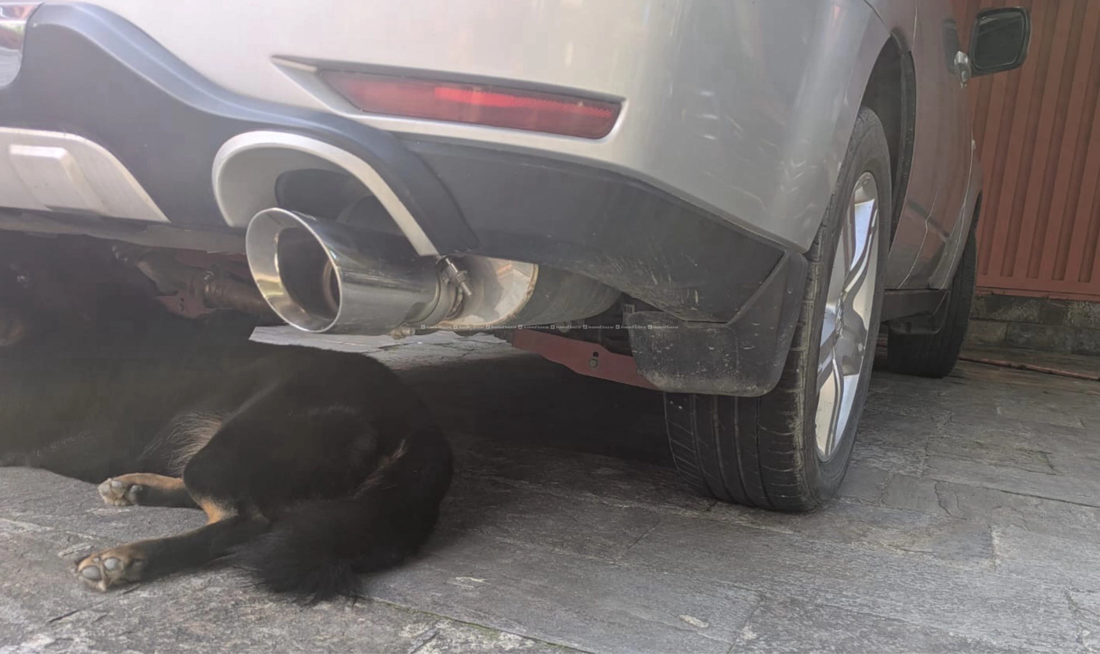 Subaru Forester 2009 4