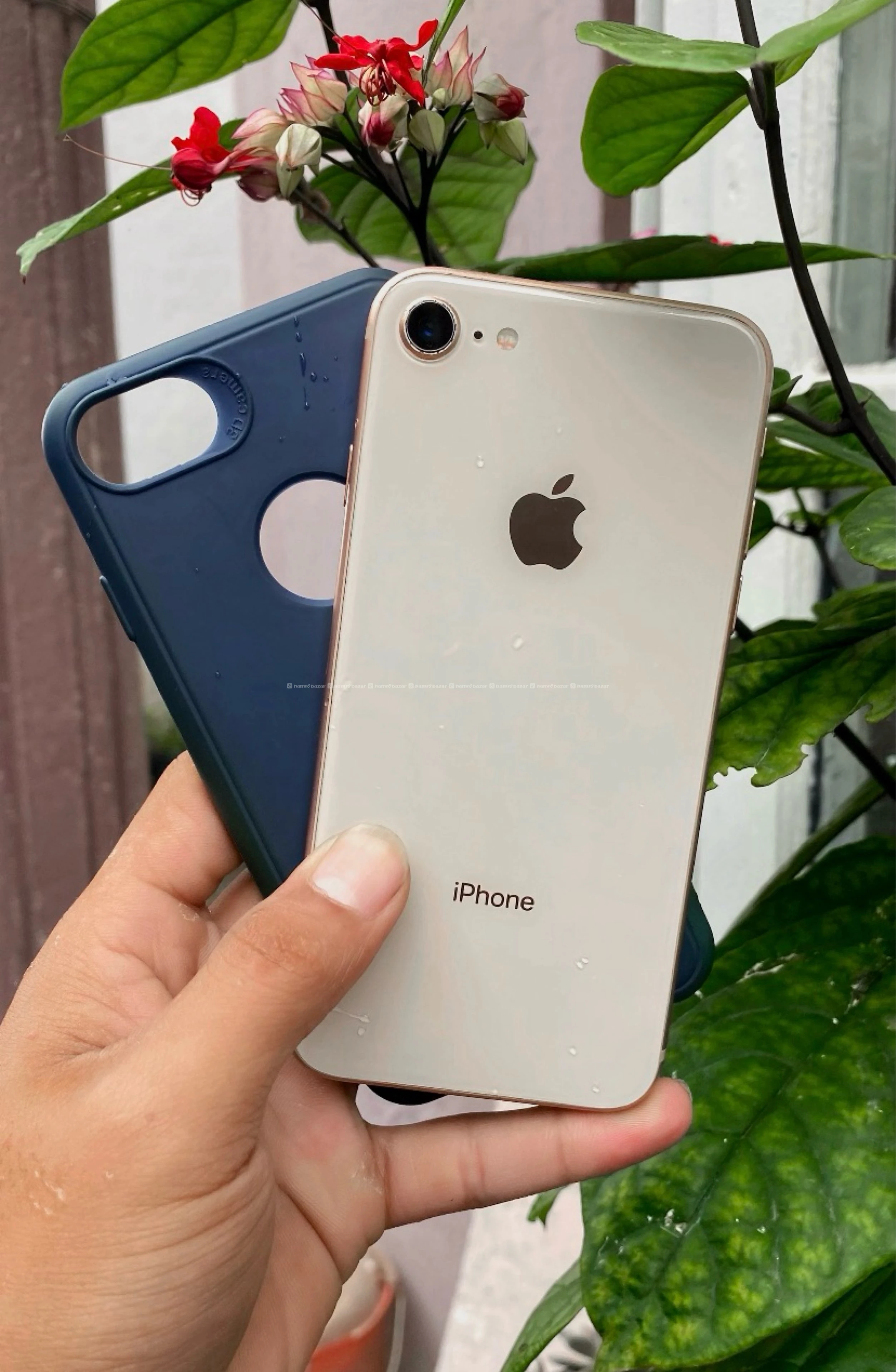 iPhone 8