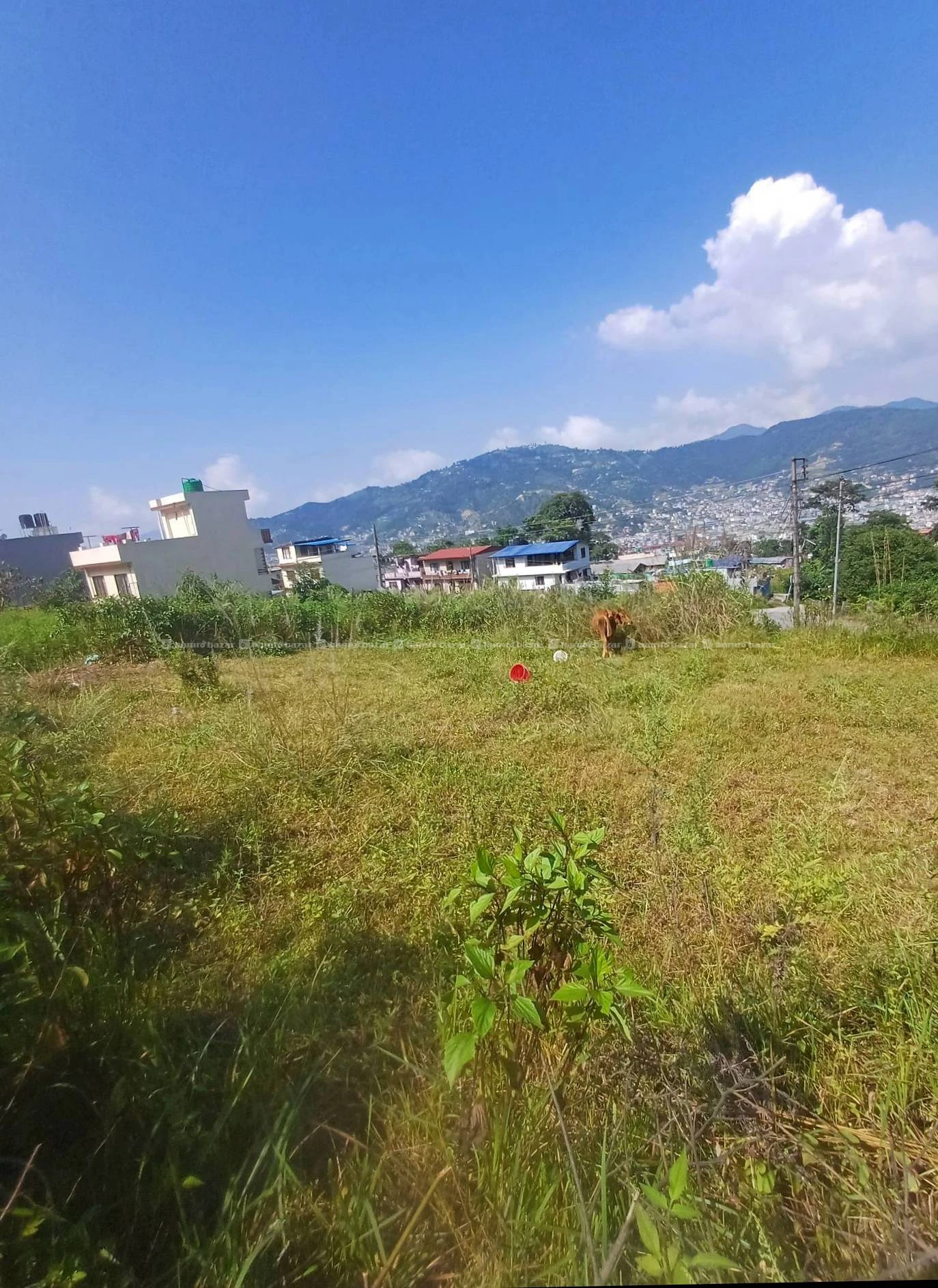Land For Sale In Checkpost