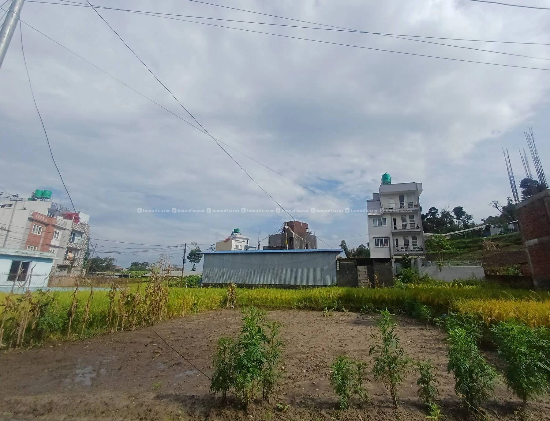 3.5 Land For Sale In Syuchatar 2