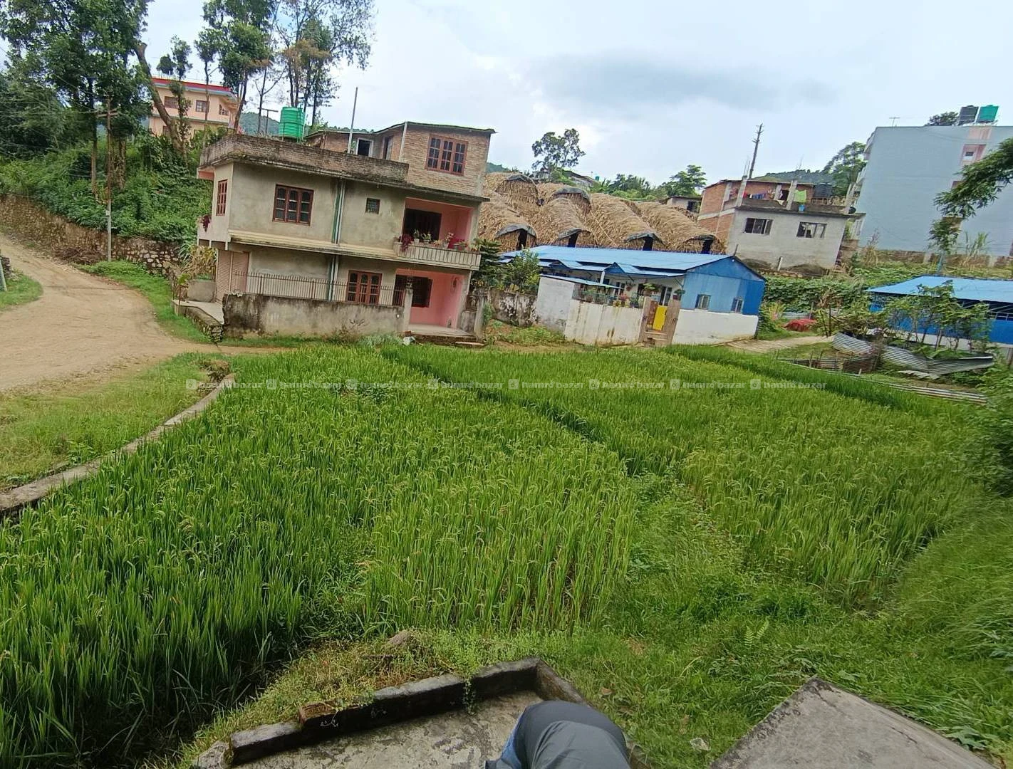 Land for sale 4