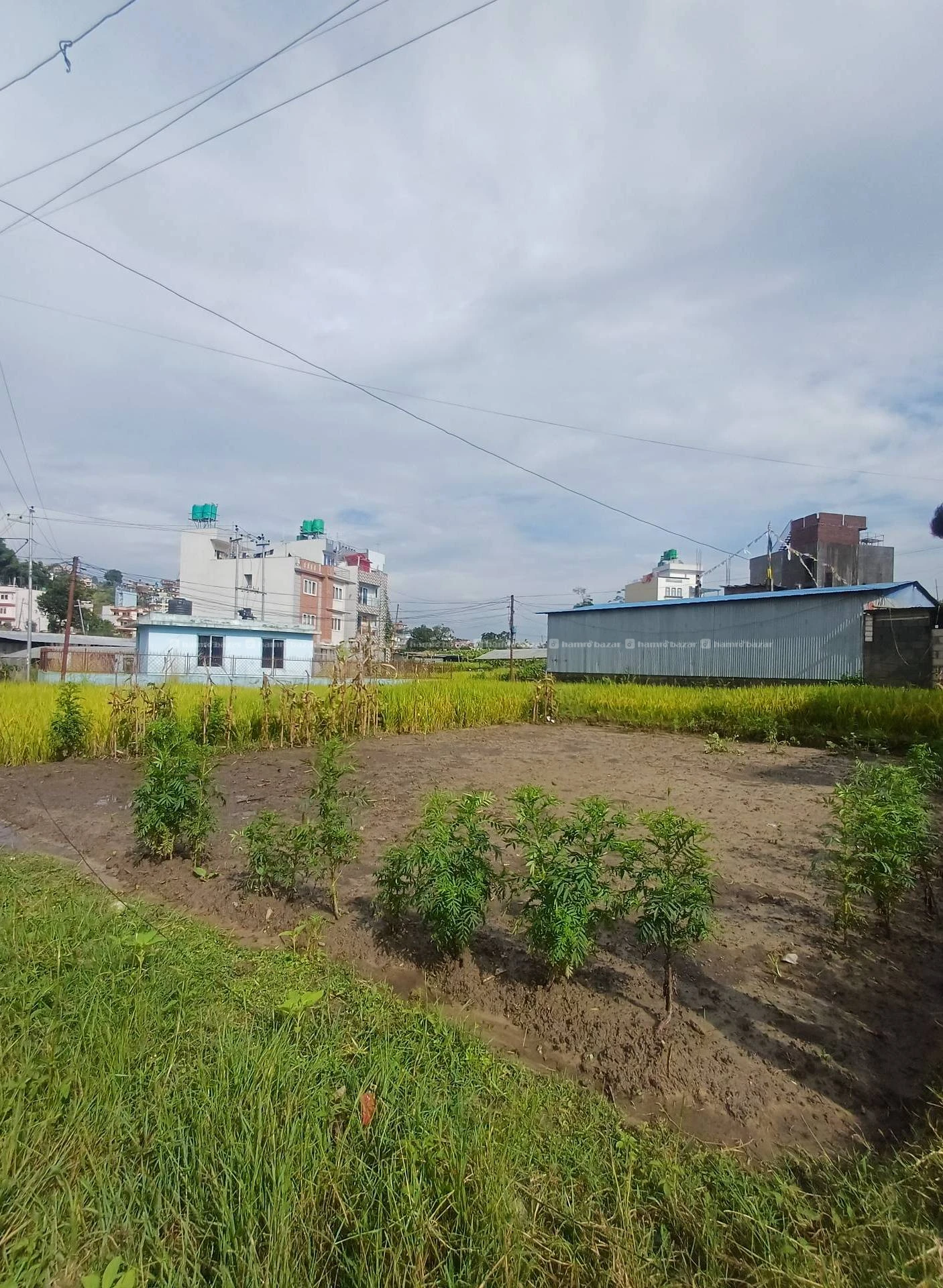 3.5 Land For Sale In Syuchatar
