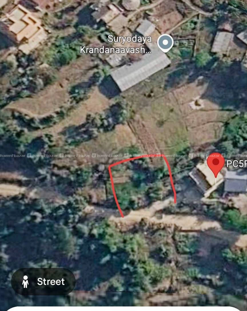 Land in sale