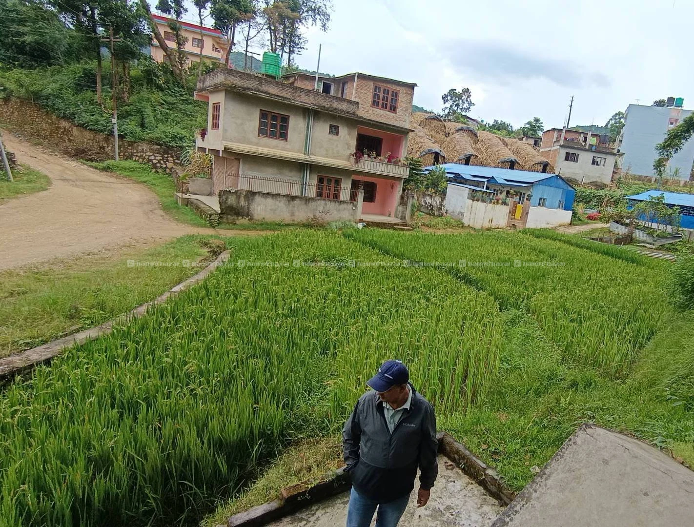 Land for sale 2