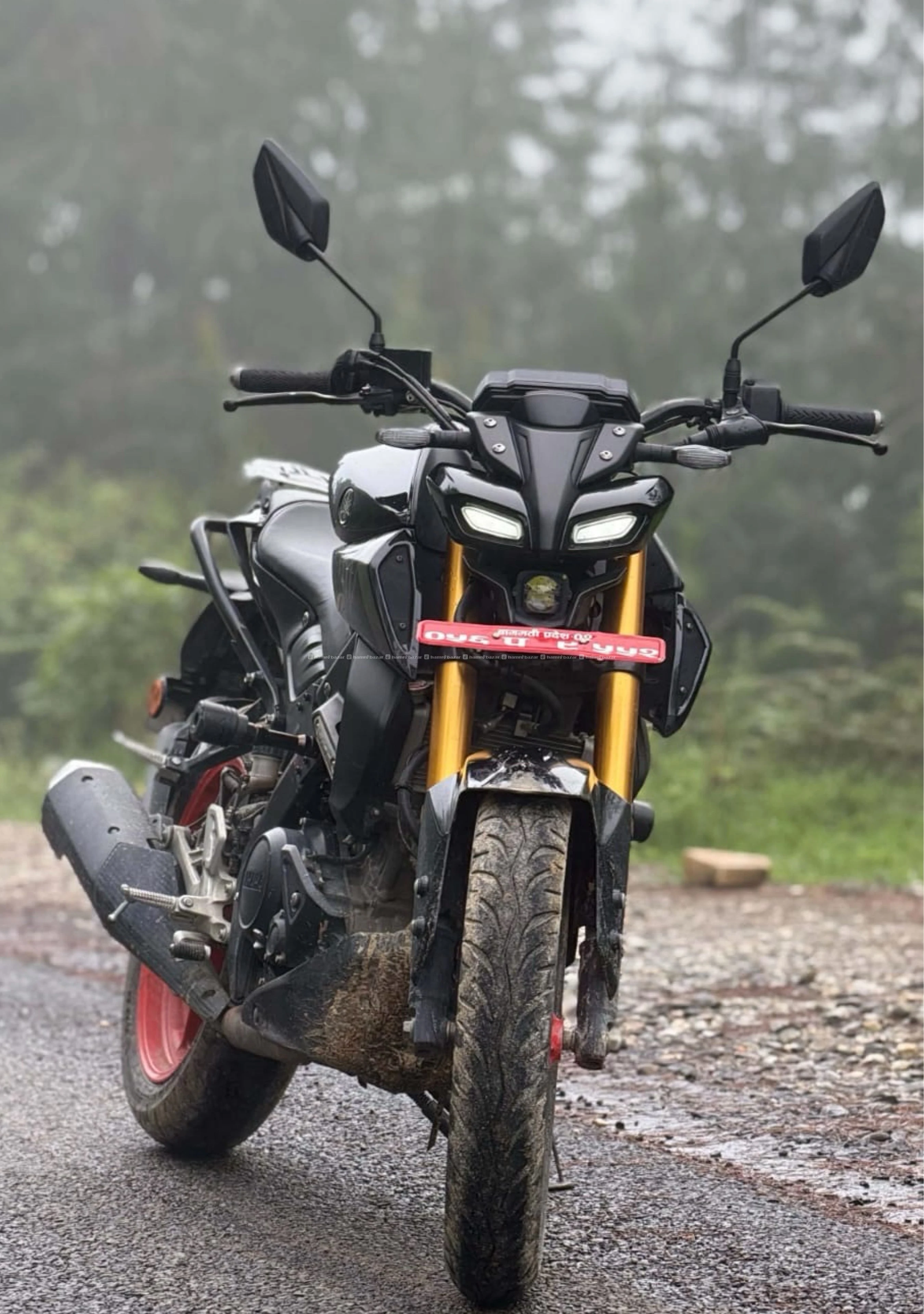 Mt 15