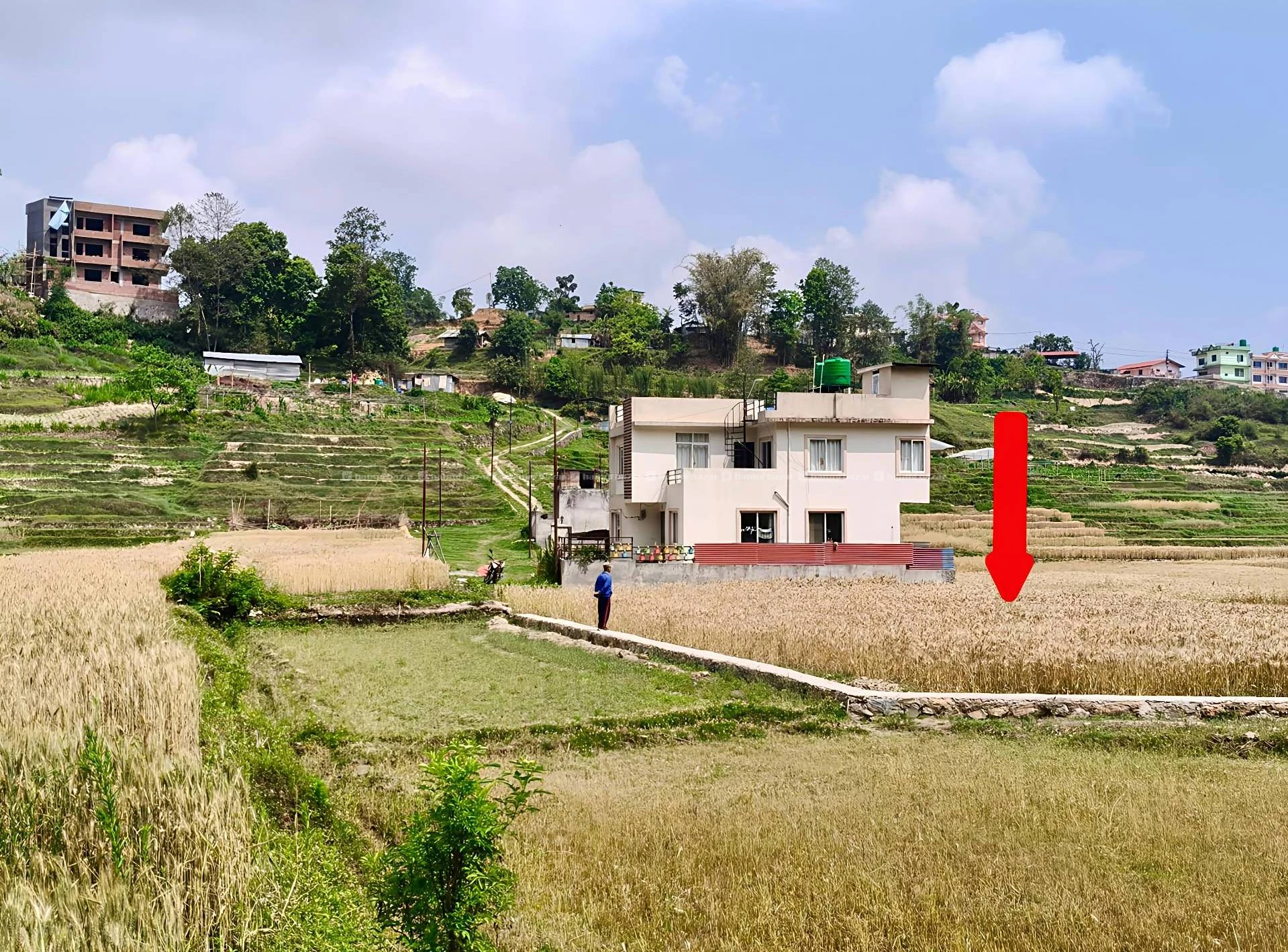 एकमुष्ट 20 आना जग्गा बिक्रीमा 2