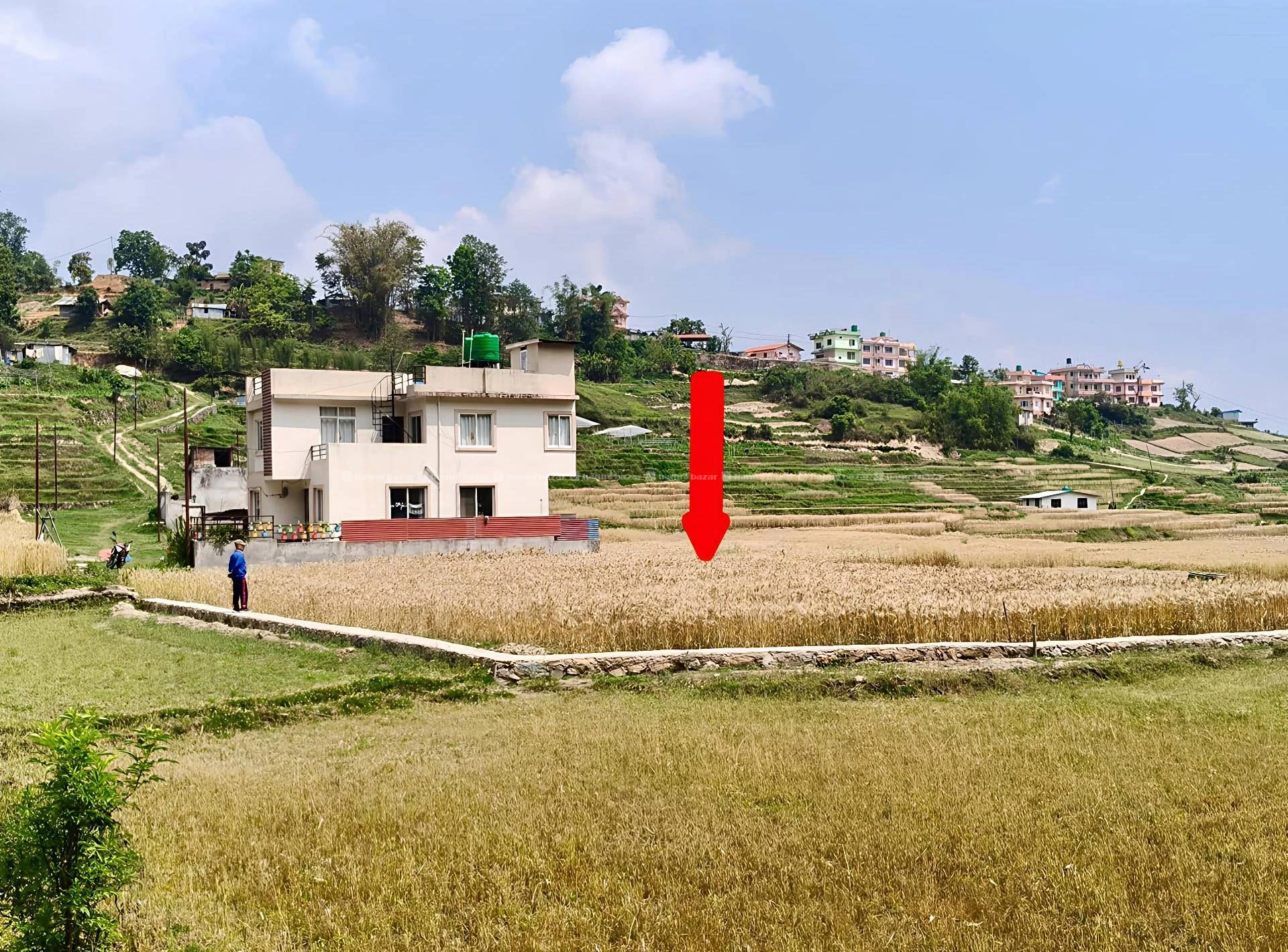 एकमुष्ट 20 आना जग्गा बिक्रीमा 3
