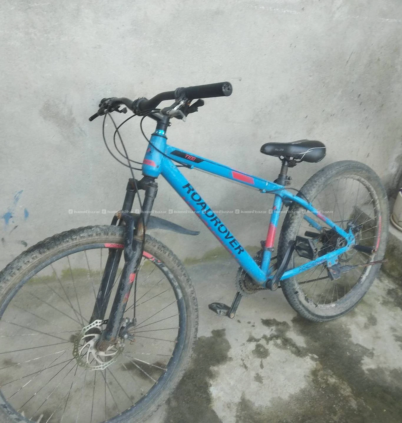 Cycle