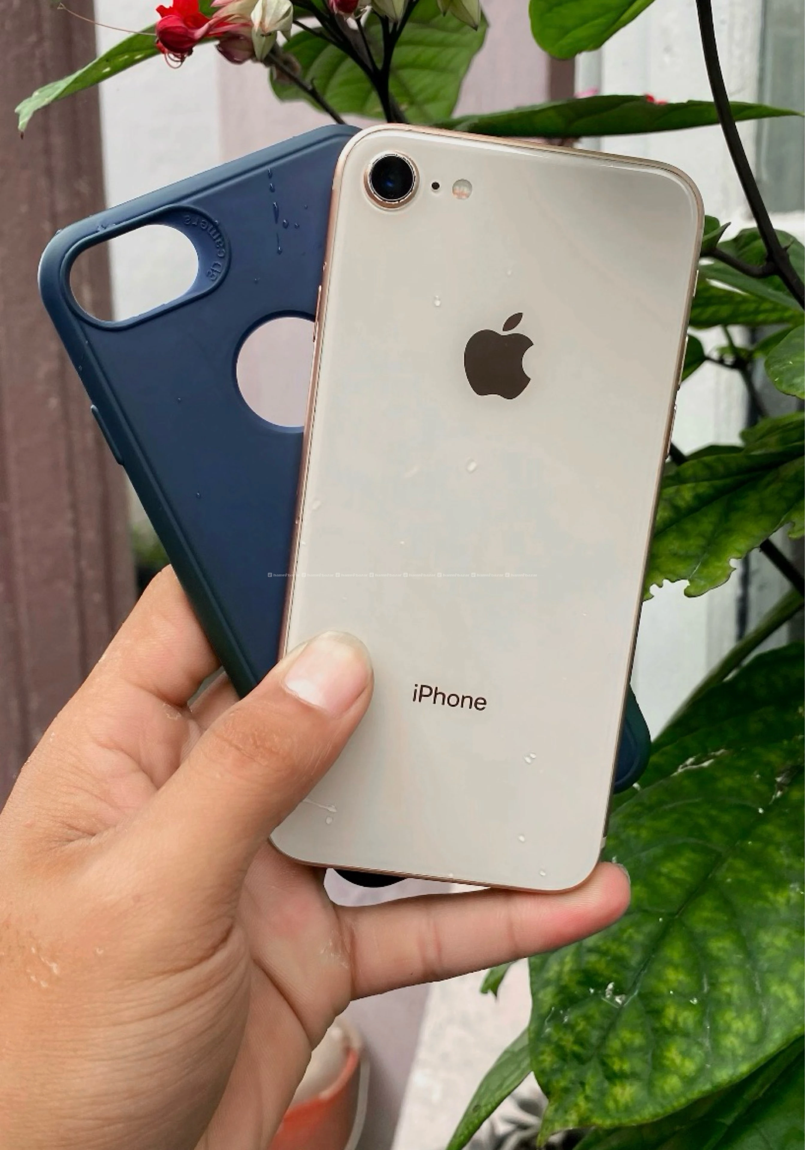 iPhone 8