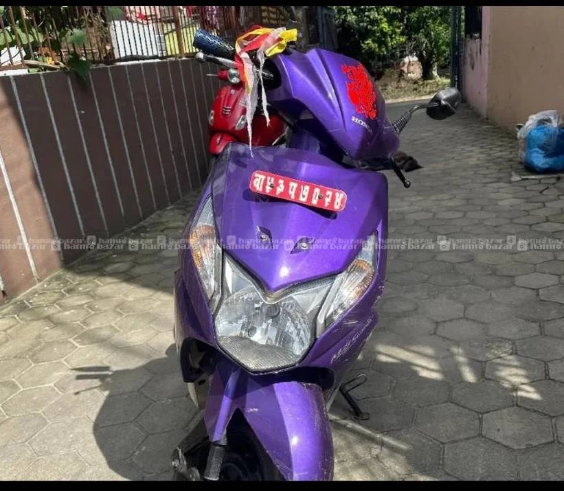 53 lot dio scottee