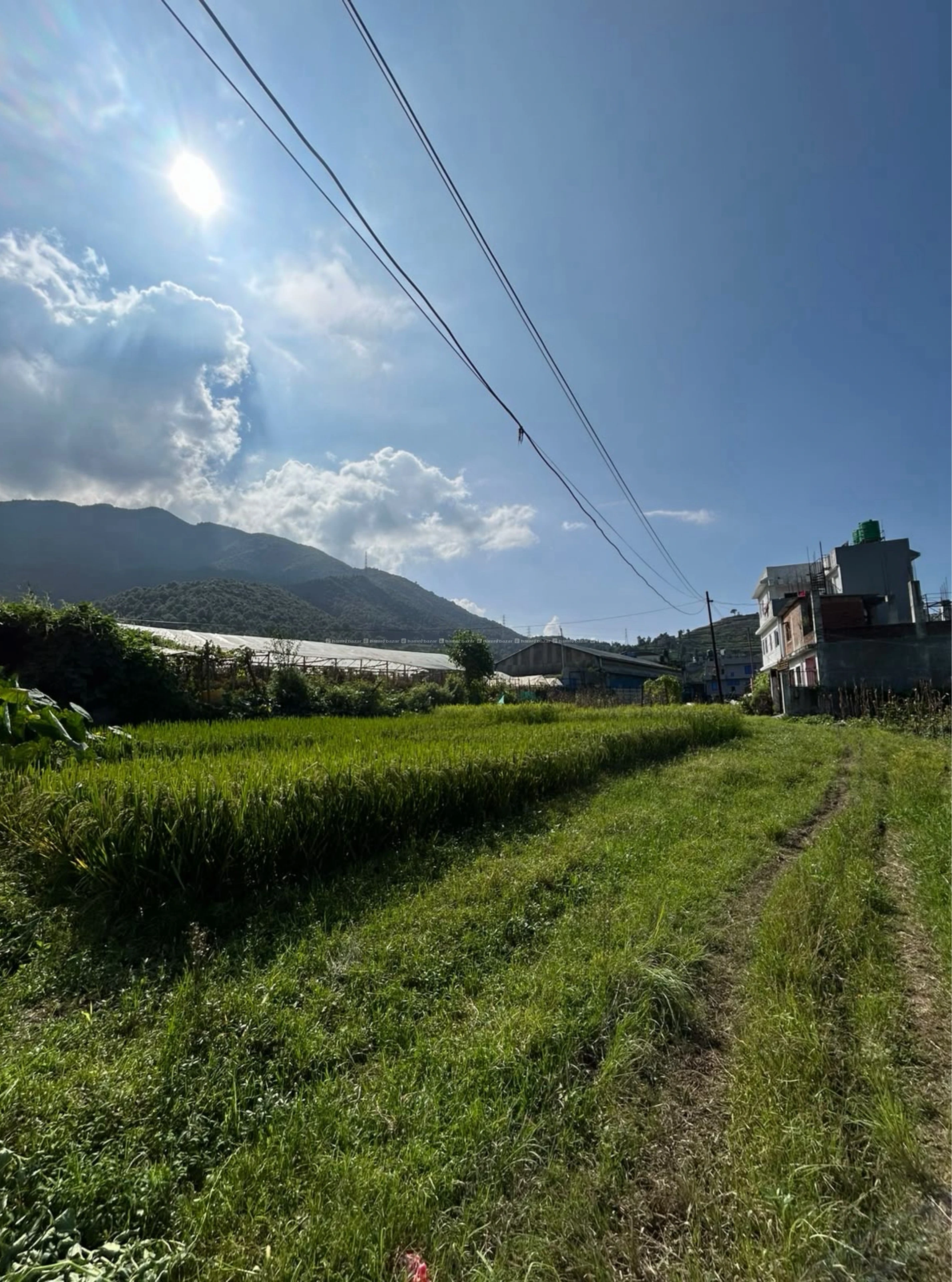 Beautiful land for sale at Thankot 2