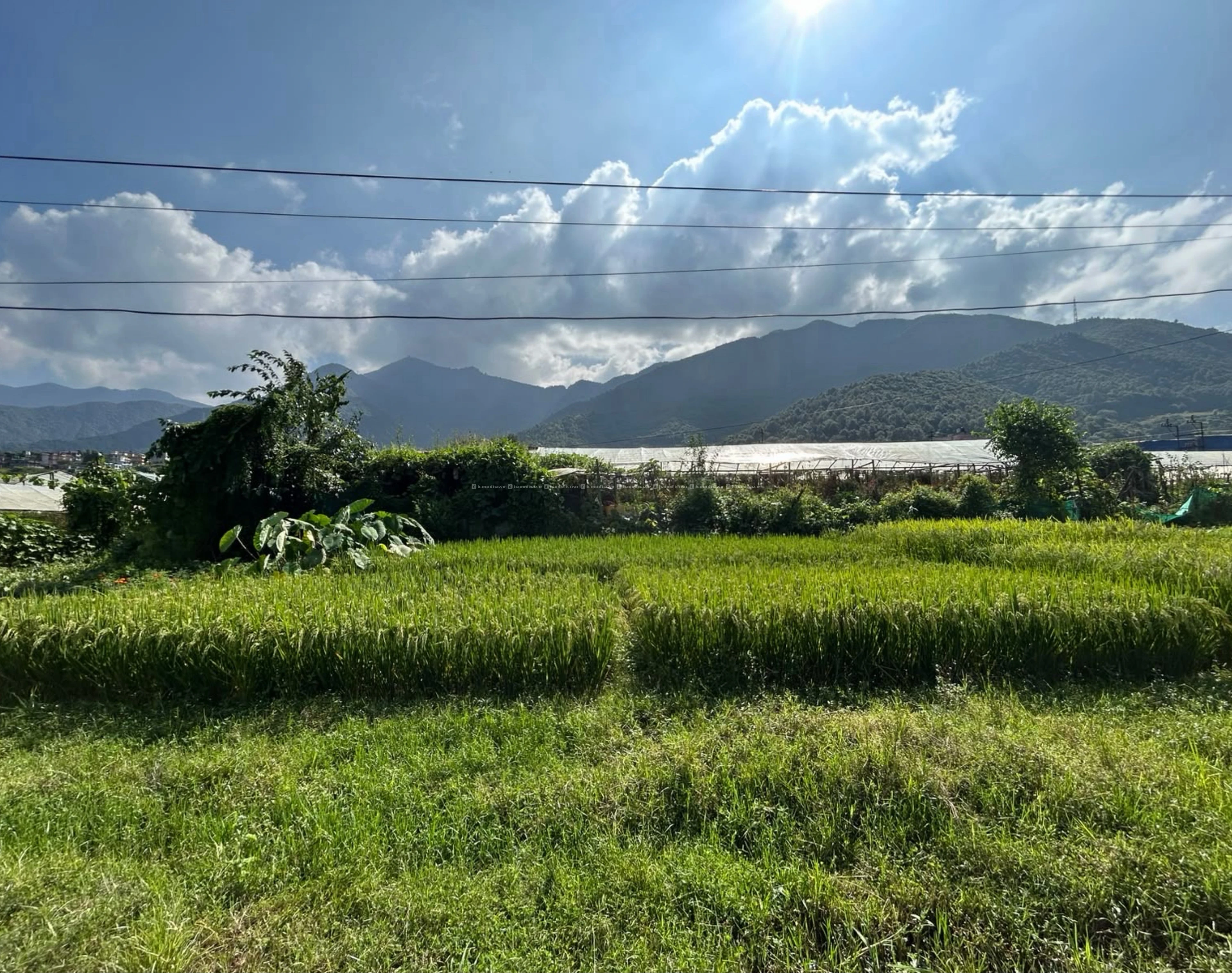 Beautiful land for sale at Thankot