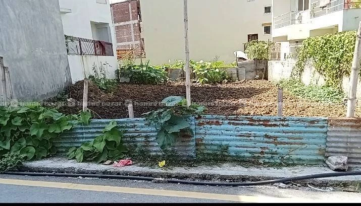 Most affordable and better property
