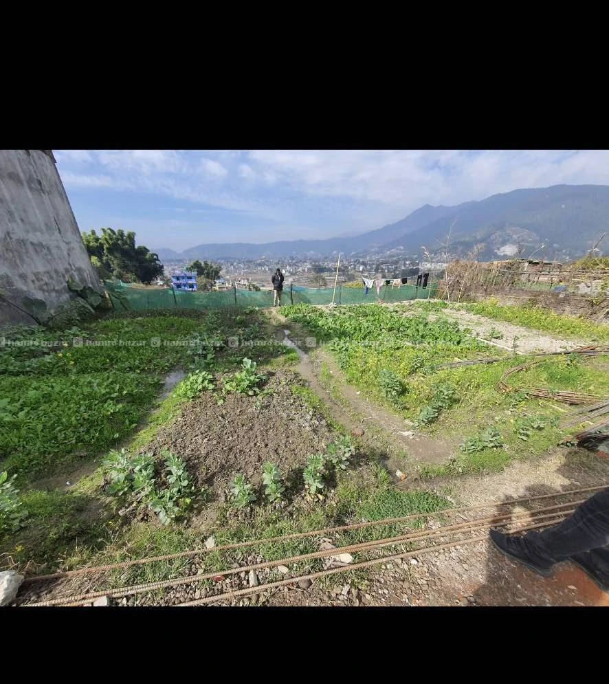Land on sale in bhadrabas