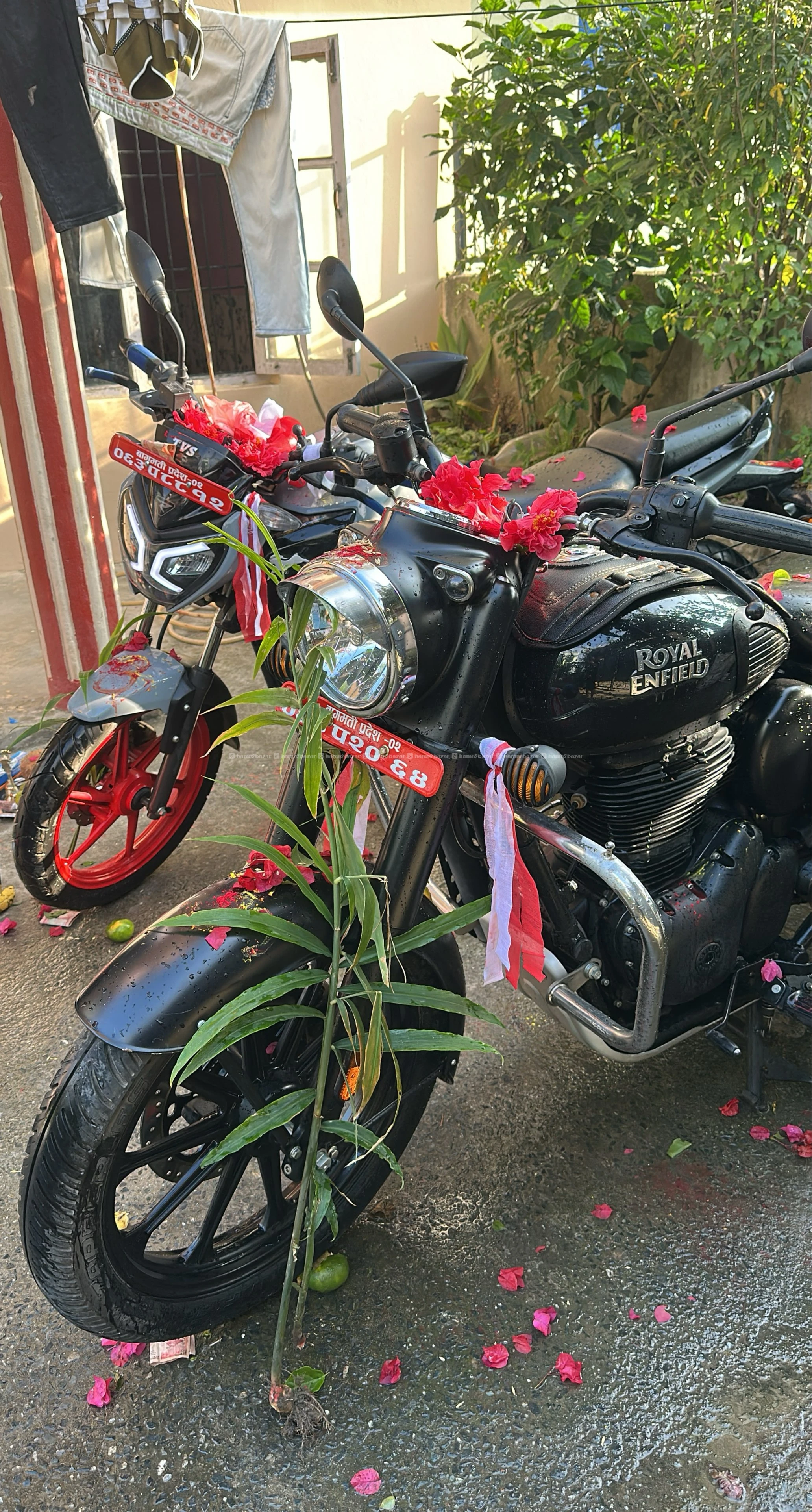 Classic bullet350
Black colour 3