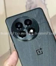 Oneplus 13