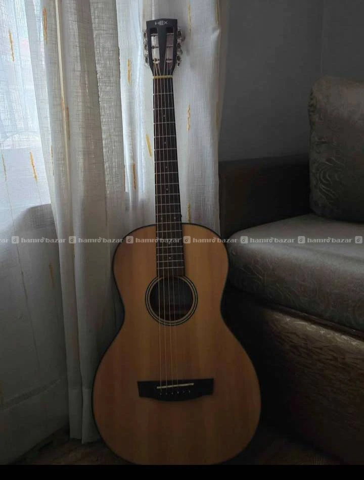 Hex p100e m semi acoustic traveler guitar
