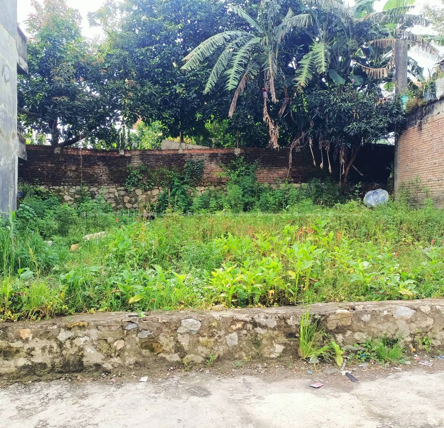 Land for sale in budhanilkantha