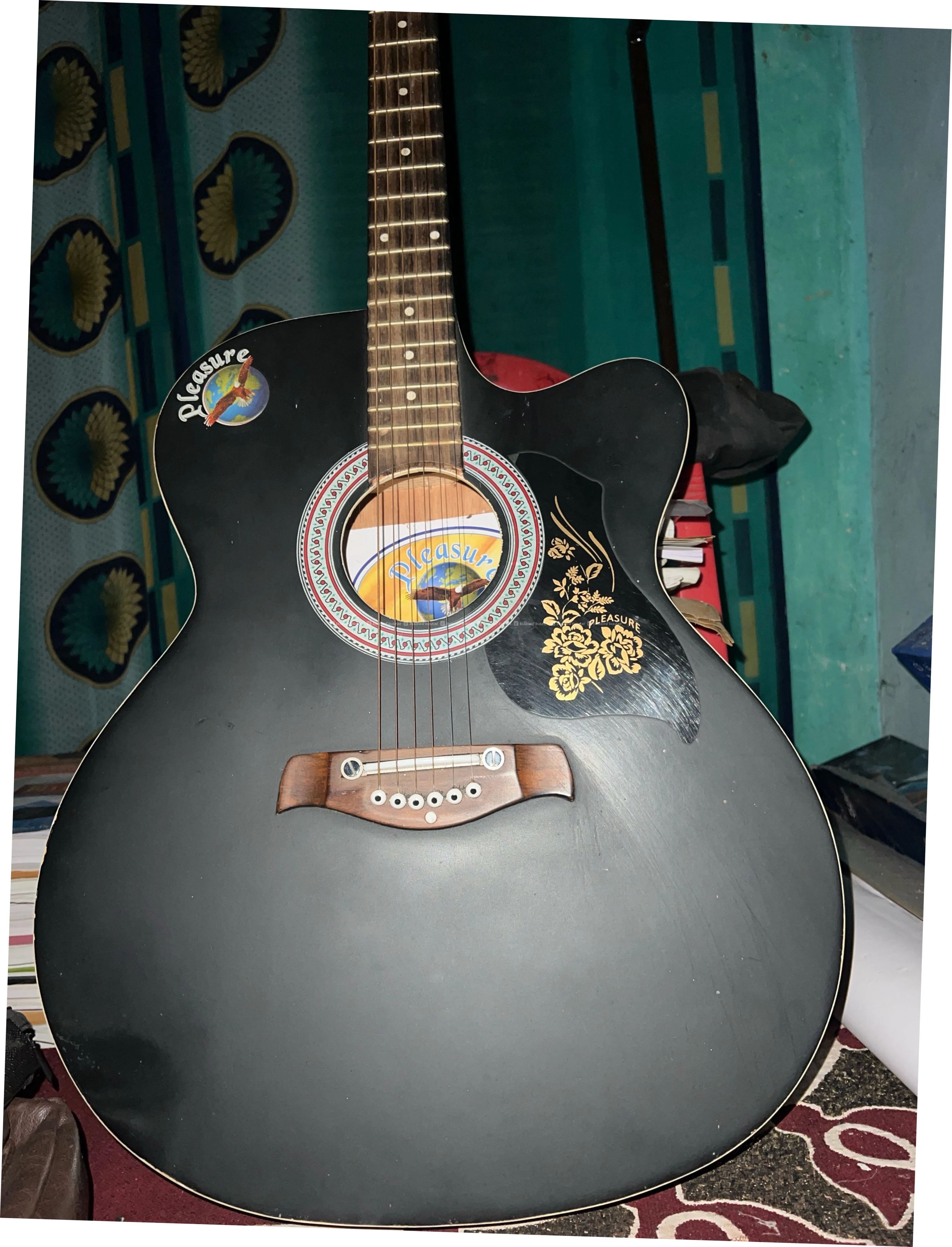 Guitar with bag, capo, pick