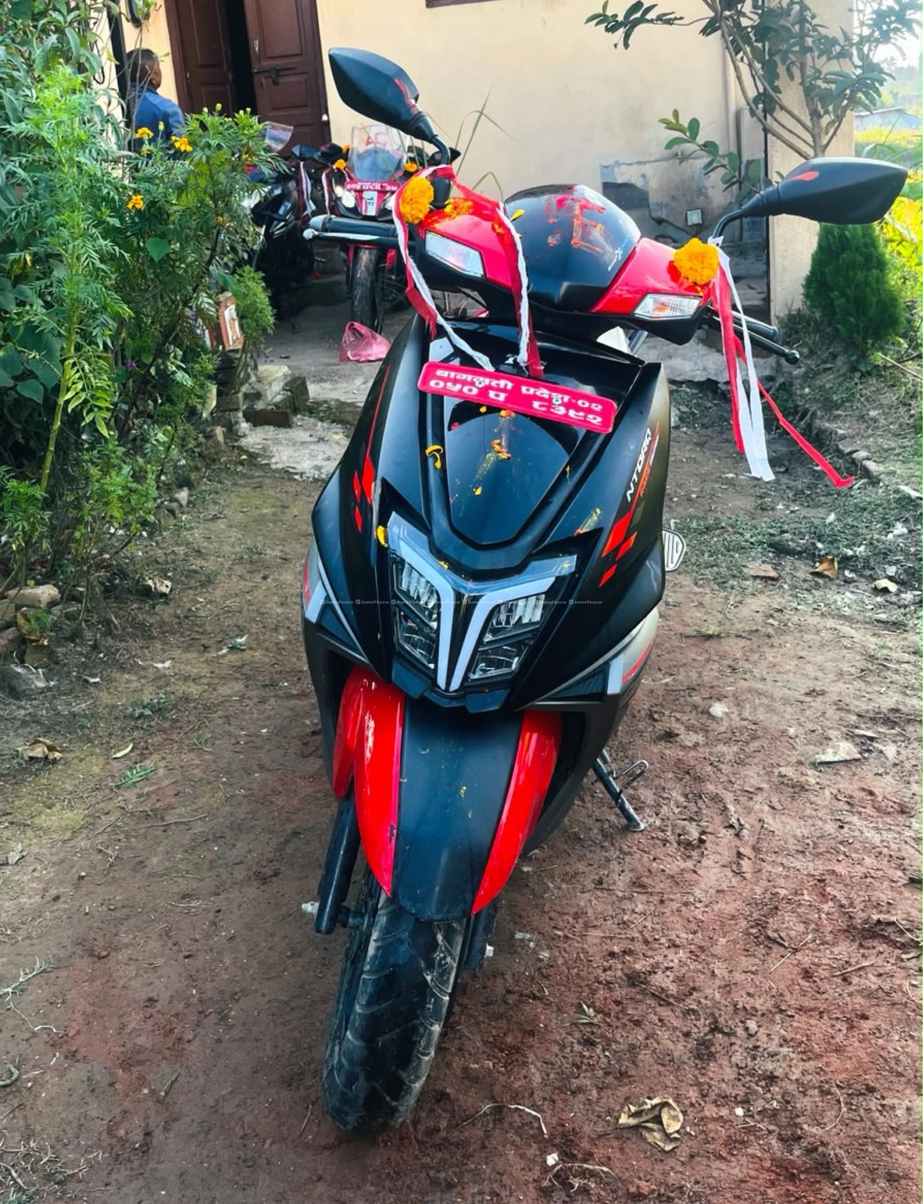 Fresh scooter on sale