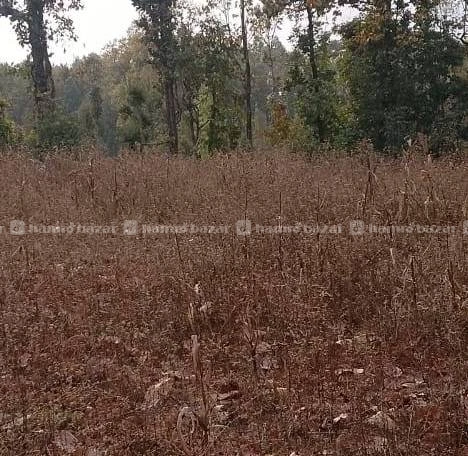 Hetauda ko best and cheap jagga bikrima