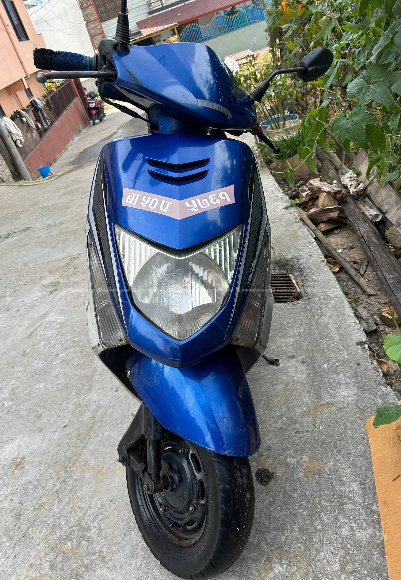Dio 50 lot
