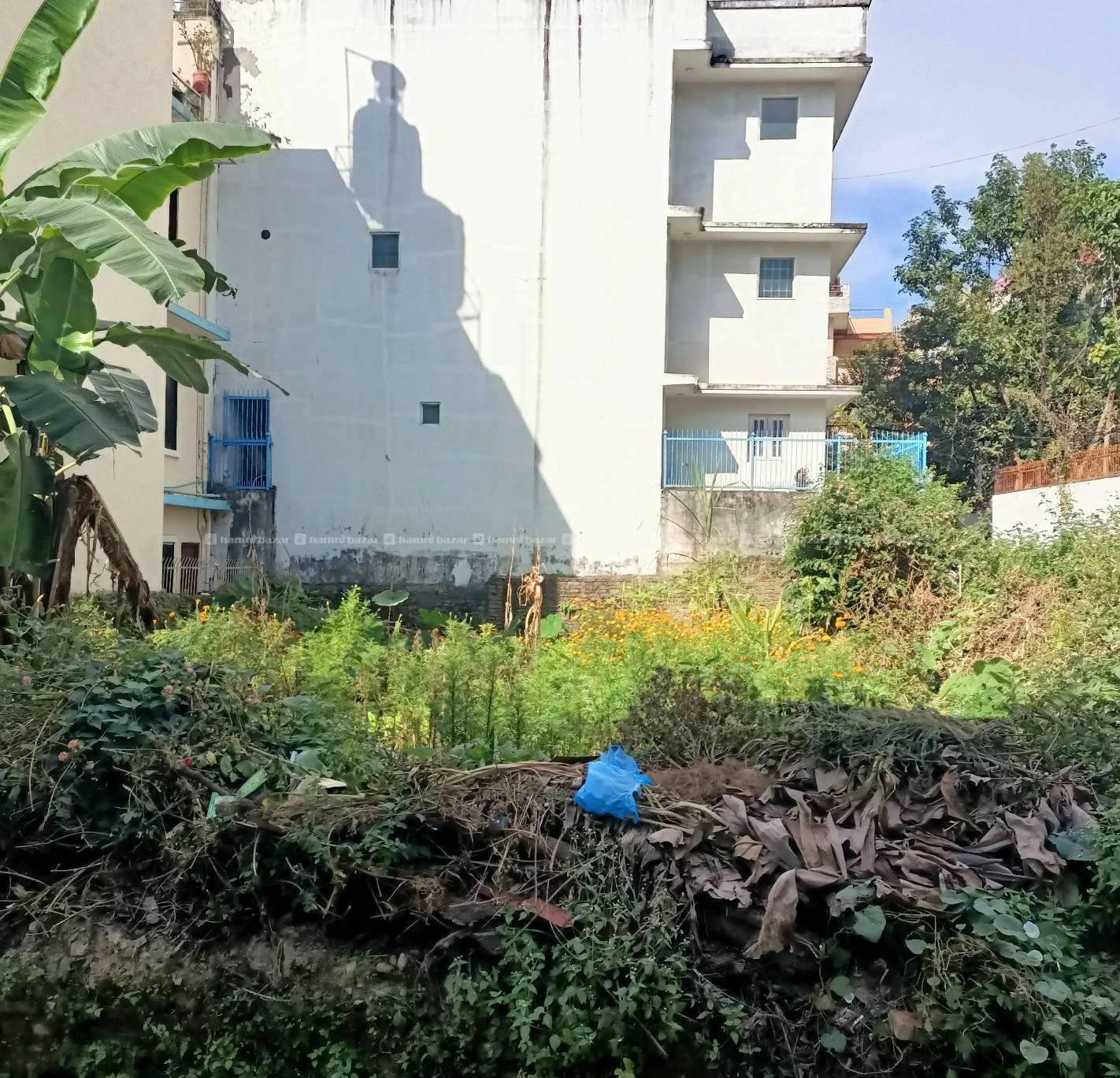 Land for sale in dhapasi 4